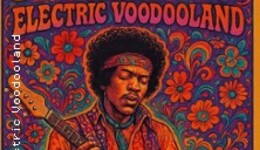 Electric Voodooland